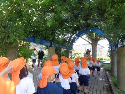 鈴小ばら園