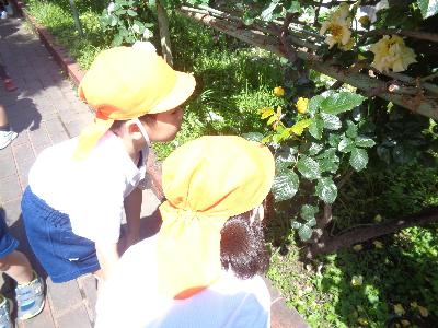 鈴小ばら園