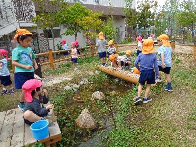 ビオトープで探してみよう！