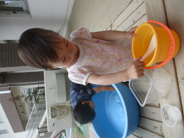 水移し替え