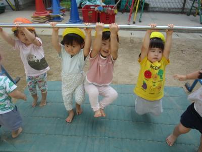 ぶら下がっている写真