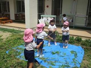 ふじづる