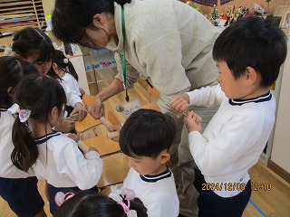 ビオトープ