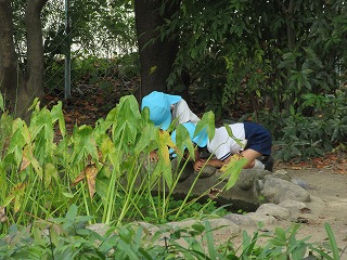 asobi2