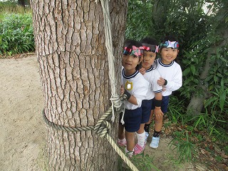 asobi9