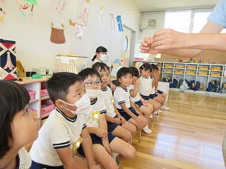 ビオトープ８