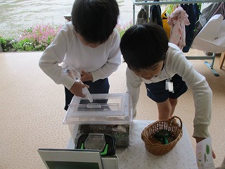 飼育