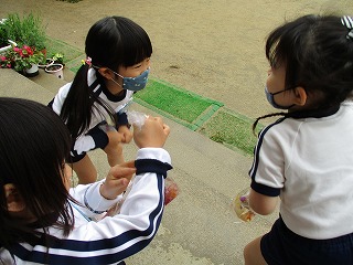 ３歳児色水