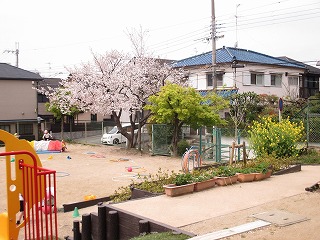 幼稚園の生活