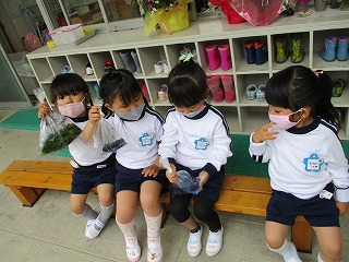 ３歳児色水２