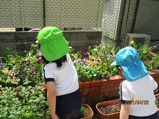４歳児参観日