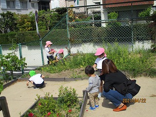 ４歳児参観日