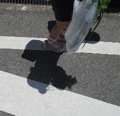 かげ1