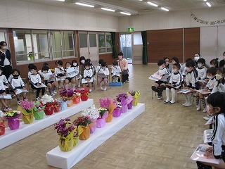 siki3-9