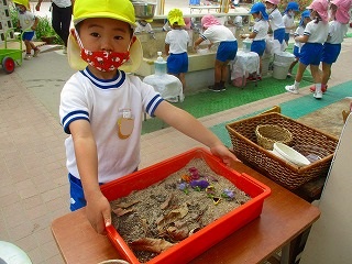 だんごむし
