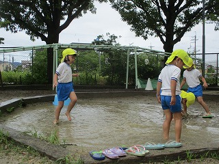 泥田