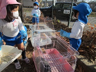うさぎ１