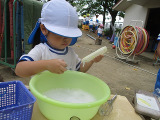 泡３歳