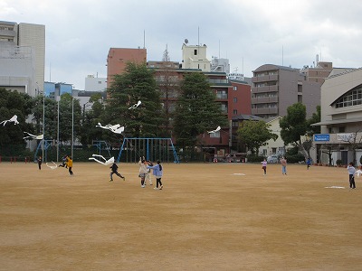 今日は風もあってたこあげにはもってこいの天気・・でも寒い。