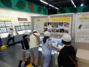 25051232校区探検
