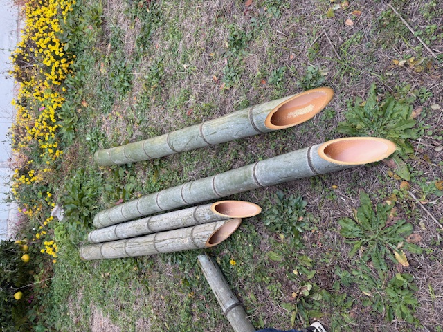 切りそろえた竹