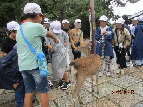 nara2