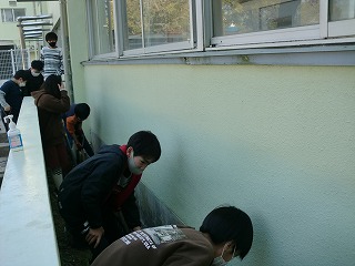 so4