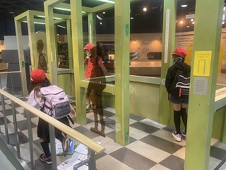 展示