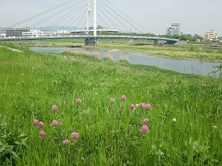 猪名川の豊かな自然環境