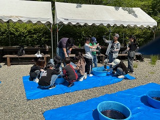 5年生