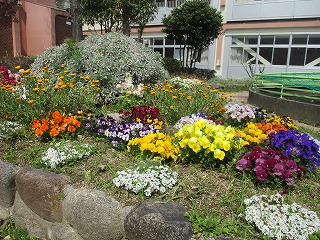 花壇