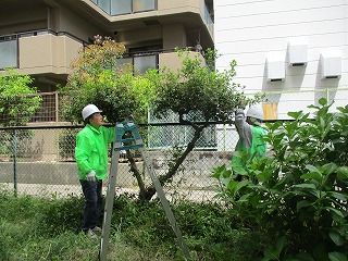 KSCさん