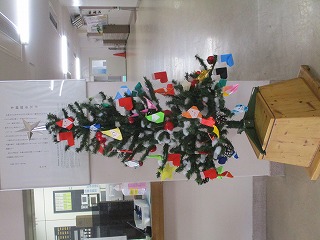 クリスマスツリー