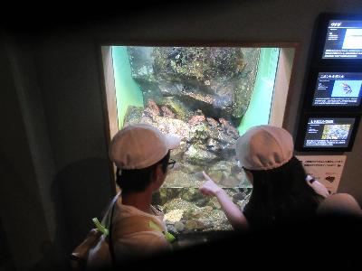 ６年生　修学旅行21