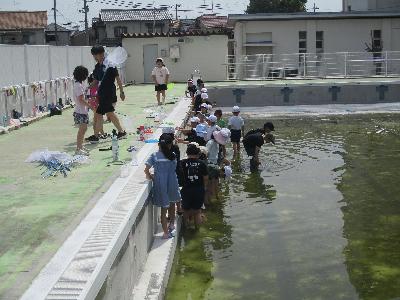 やごとり2組