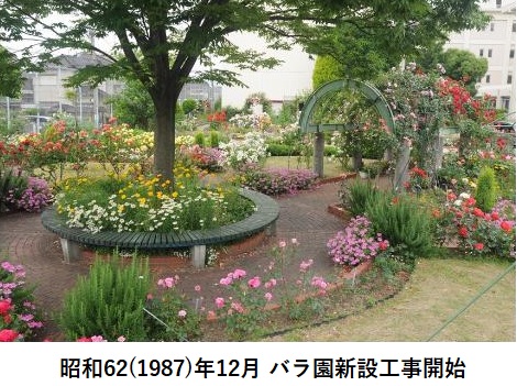 バラ園S62