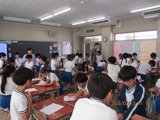 20393844