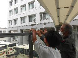 ものづくり体験（（風力風向計づくり）