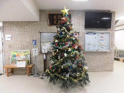 完成したクリスマスツリー