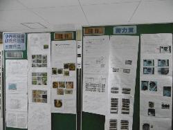 展示作品（理科自由研究）