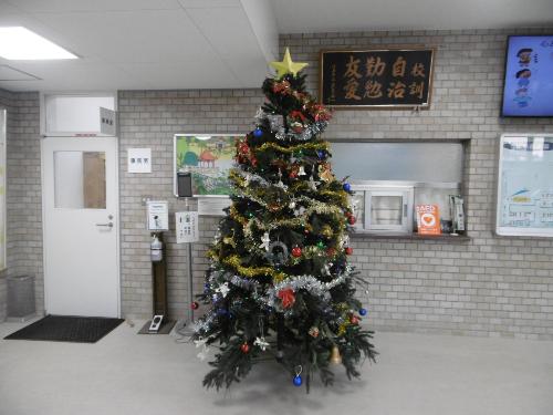 事務室前のクリスマスツリー