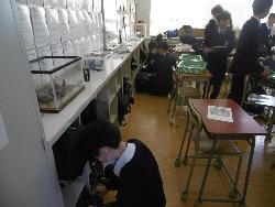 学活の様子（1年生）