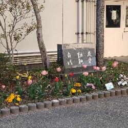 花壇１