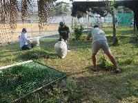 みどりクリーン２