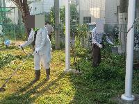 みどりクリーン３