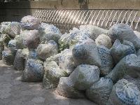 みどりクリーン５