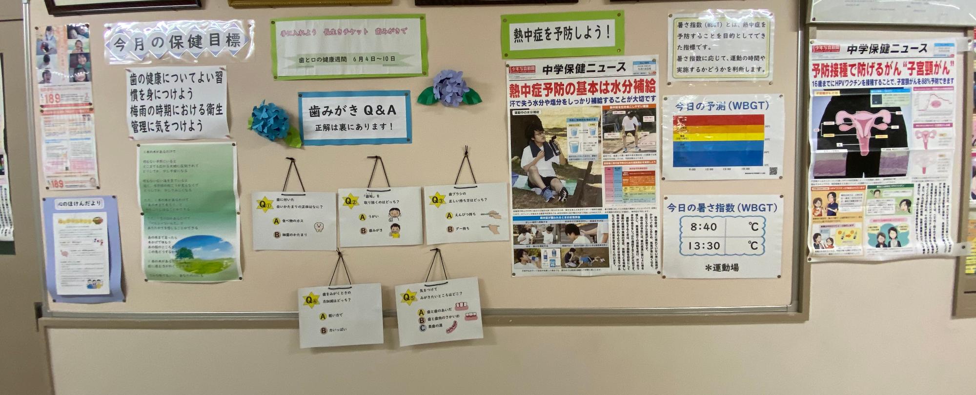 6月掲示