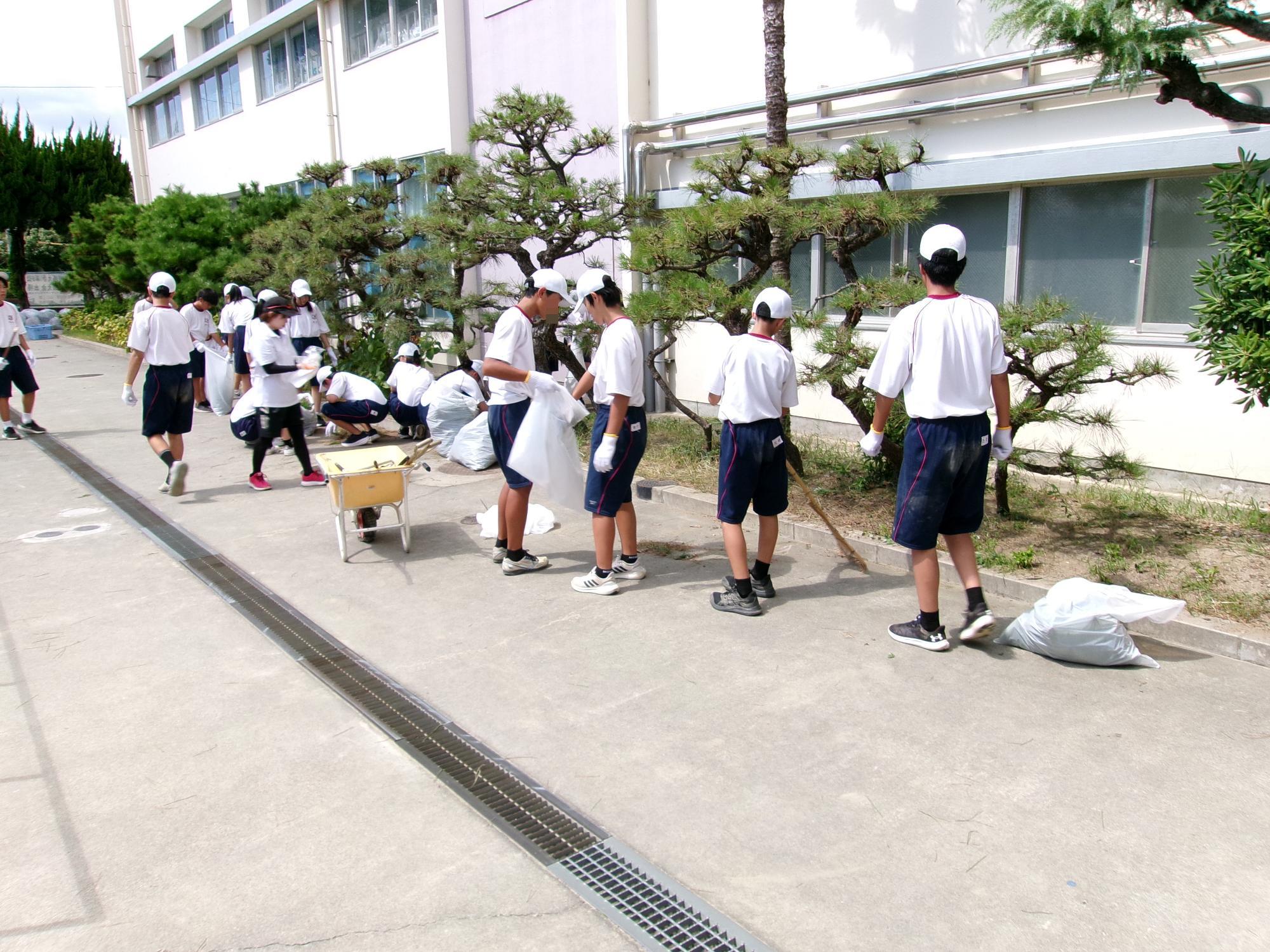 令和6年はがり4