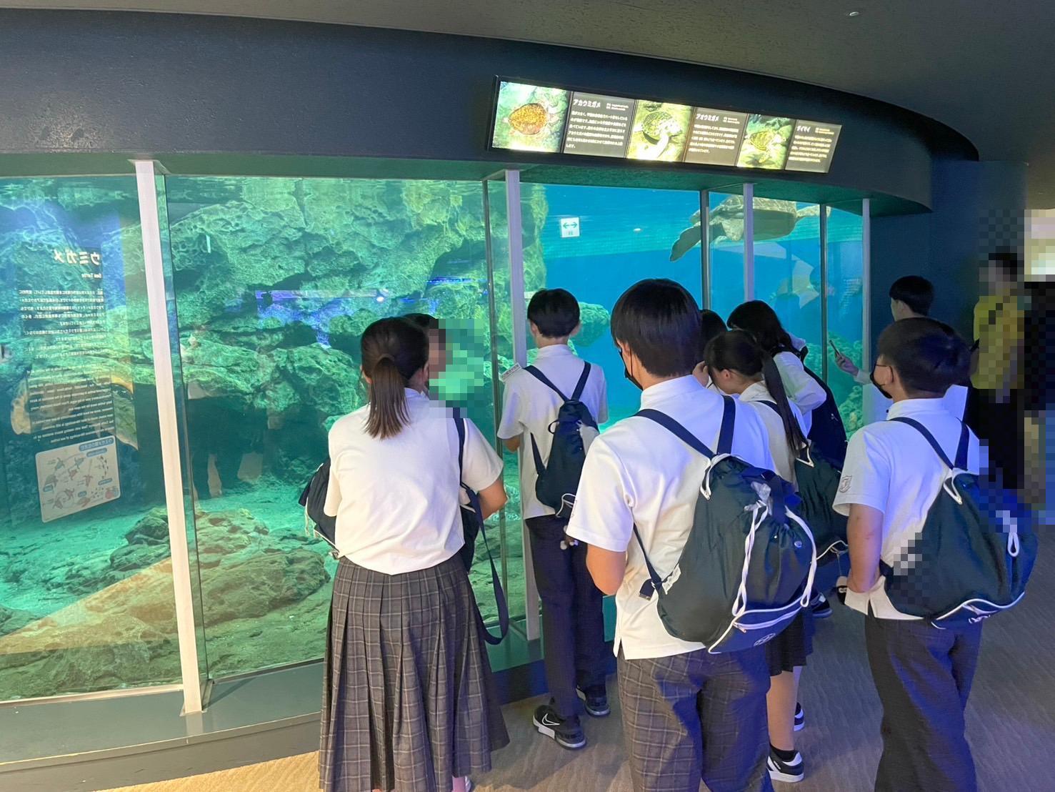 修学旅行3