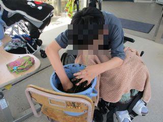 田植え2